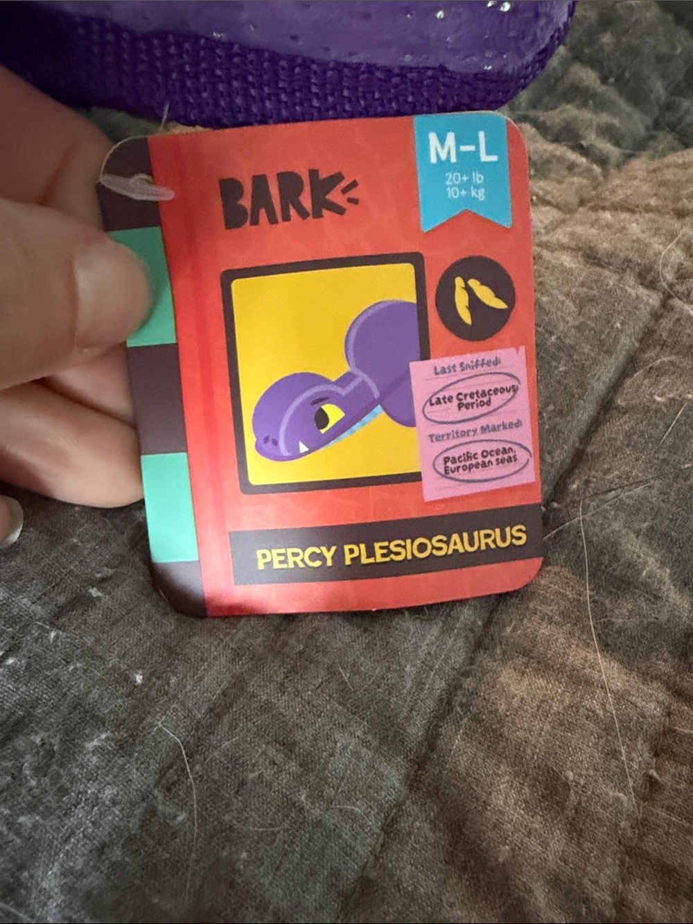 NWT Bark Percy Plesiosaurus Squeaky and Crinkle Dog Toy - Picture 4 of 9